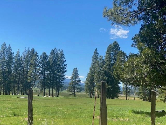 553 REDTAIL LOOP RD, CLIO, CA 96106, photo 1 of 11