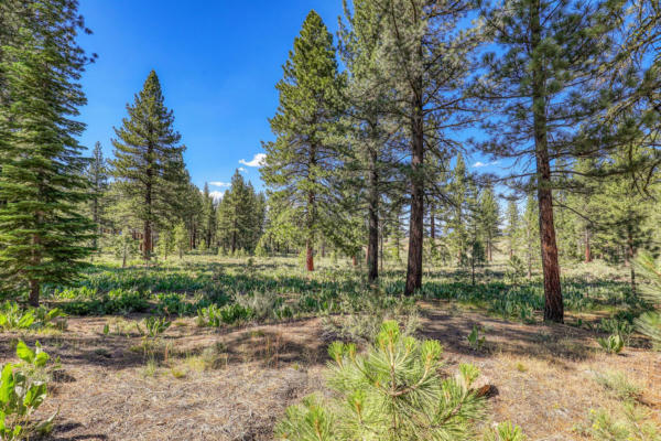 7455 LAHONTAN DR, TRUCKEE, CA 96161 - Image 1