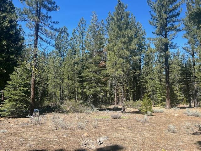 0000 AMODEI RANCH ROAD, SIERRAVILLE, CA 96126, photo 1 of 6