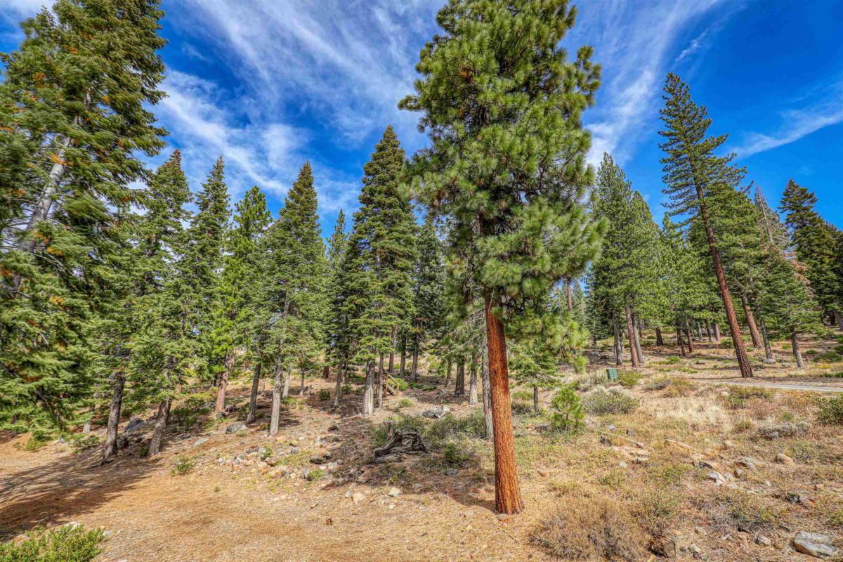 2645 MILL SITE RD, TRUCKEE, CA 96161, photo 1 of 8