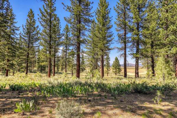 7445 LAHONTAN DR, TRUCKEE, CA 96161 - Image 1